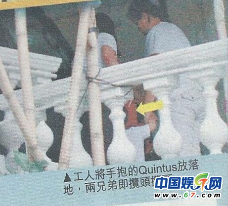 張柏芝兩愛(ài)子近照曝光 小Q長(zhǎng)大與哥哥不同范