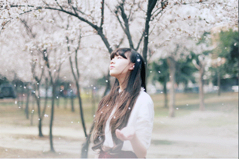 QQ截圖20160704192929