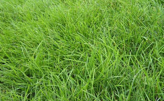 QQ截圖20170210214049