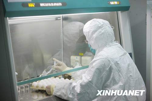 6月8日，科研人員在進(jìn)行毒株種子批的制備工作。新華社記者 邢廣利 攝