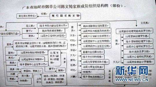 圖為廣東省汕尾市煙草專賣局局長陳文鑄家族成員組織結(jié)構(gòu)圖（1月13日攝）。新華社記者 劉大江 攝