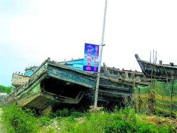 小麥島驚現(xiàn)六百條漁船墓地 網(wǎng)友擔(dān)心近海已無(wú)魚(yú)