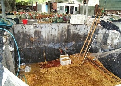 數(shù)十平方米的大池子，黑心商家用工業(yè)檸檬酸泡出35噸金針菇