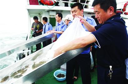 青島161萬(wàn)小魚軍團(tuán)放流大海