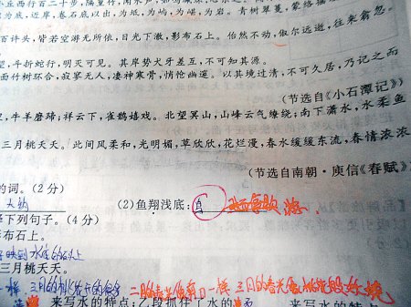這是6月18日，網(wǎng)友“啃梨掉顆牙”發(fā)在網(wǎng)上的試卷照片。