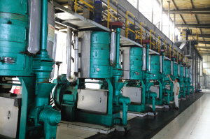 毛油生產(chǎn)線。