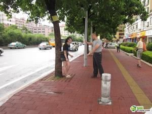 兄妹吵架哥哥當(dāng)街將其捆到樹上 五花大綁似SM