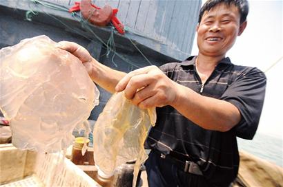 青島開海首日遇滑鐵盧 撈到一只螃蟹兩只對(duì)蝦 青島開海首日遇滑鐵盧 撈到一只螃蟹兩只對(duì)蝦