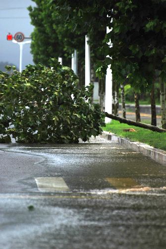 達(dá)維過(guò)境青島小驚 護(hù)欄刮倒巨浪狂拍石老人