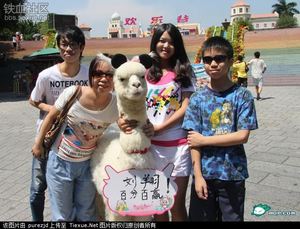 白富美開(kāi)豪車(chē)帶草泥馬逛街被圍觀 奧運(yùn)金牌躺槍