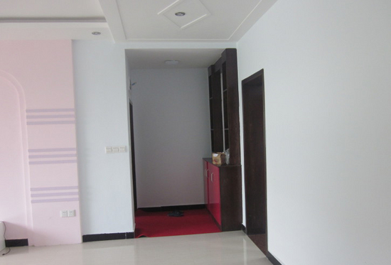 網(wǎng)友曬農(nóng)村生態(tài)房 房價僅540元/平豪華堪比別墅