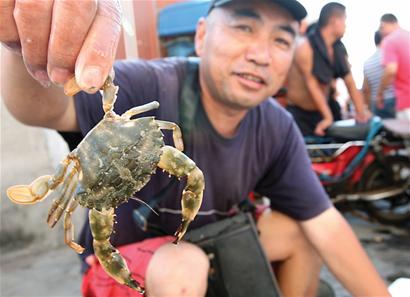 開海首日海鮮價(jià)格不高