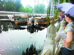 北京什剎海漂浮上千斤死魚(yú) 放生成殺生