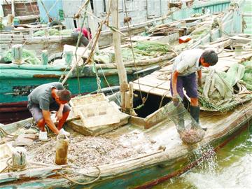 青島漁民出海捕魚(yú)2小時(shí)只撈回蝦兵蟹將 改釣魚(yú)