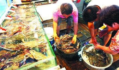 青島今年大閘蟹更鮮美 養(yǎng)殖戶喂足青魚蛤蜊頂蓋兒肥 青島今年大閘蟹更鮮美 養(yǎng)殖戶喂足青魚蛤蜊頂蓋兒肥