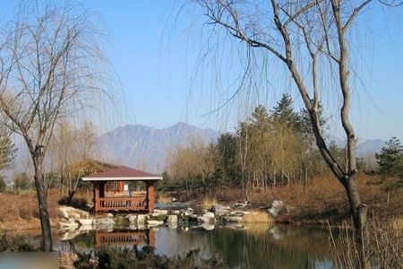 陳坤美式豪宅內(nèi)景曝光 兒子生母身份再引猜測(cè)