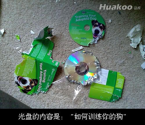 極品爆笑圖 笑點(diǎn)低慎入