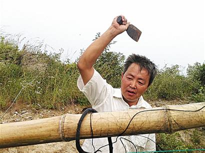 即墨山上遍布攔鳥網 山口千米大網專攔遷徙鳥