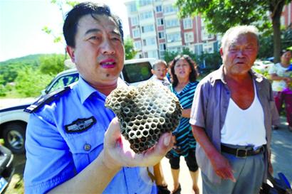 湖島新村上演人蜂大戰(zhàn) 冰火齊發(fā)將其拿下 湖島新村上演人蜂大戰(zhàn) 冰火齊發(fā)將其拿下