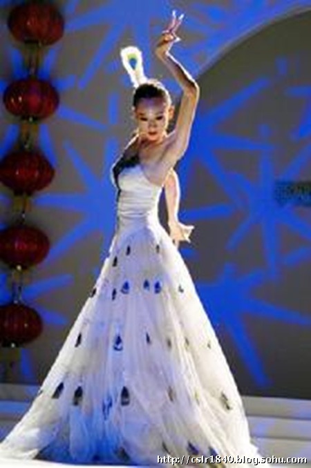 揭楊麗萍終身不育內幕 老公劉淳晴出身商業(yè)世家