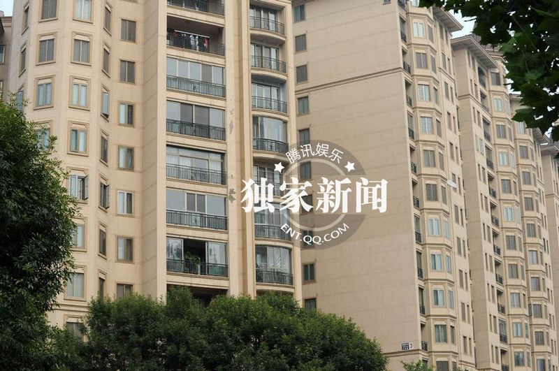 董卿低調(diào)裝扮素顏獨自回京 面色疲憊疑勞累過度