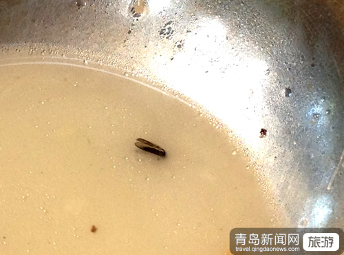 探訪平度茶山風景區(qū) 魚湯里飛幺蛾衛(wèi)生隱患多