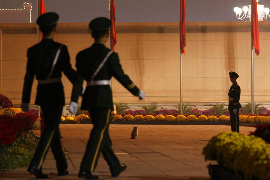 網(wǎng)絡(luò)走紅 真心沒(méi)難度