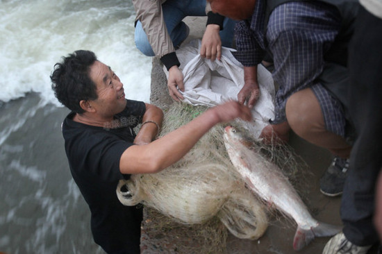 洛河水漲 洛陽(yáng)市民集體撈魚(yú)