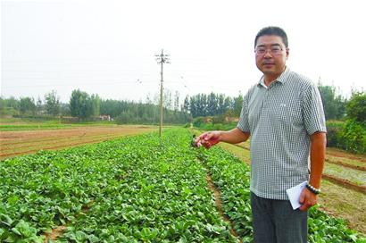 青島年入百萬(wàn)包工頭隱居山林 賞如畫風(fēng)景種菜養(yǎng)鴨