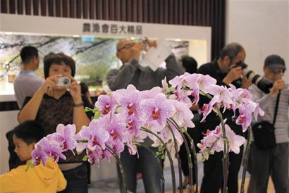 青島市民臺博會排隊(duì)掃貨 購百種世界唯一