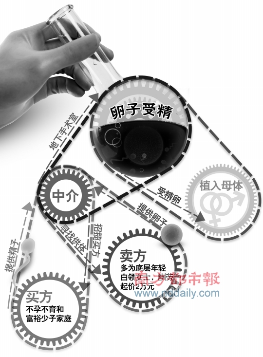 深圳地下人卵交易鏈起底 黑中介每筆得益十幾萬(wàn) 深圳地下人卵交易鏈起底 黑中介每筆得益十幾萬(wàn)