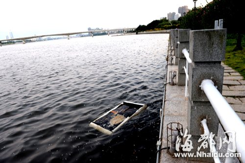 閩江公園南園沿線，閩江混雜污水，漂著垃圾，散發(fā)出腥臭。