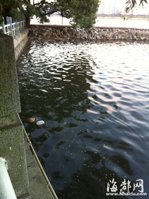 閩江公園南園沿線，閩江混雜污水，漂著垃圾，散發(fā)出腥臭。