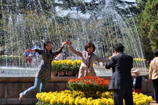 青島中山公園30萬盆菊花爭奇斗艷