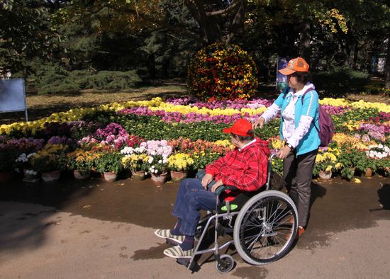 青島中山公園30萬(wàn)盆菊花爭(zhēng)奇斗艷