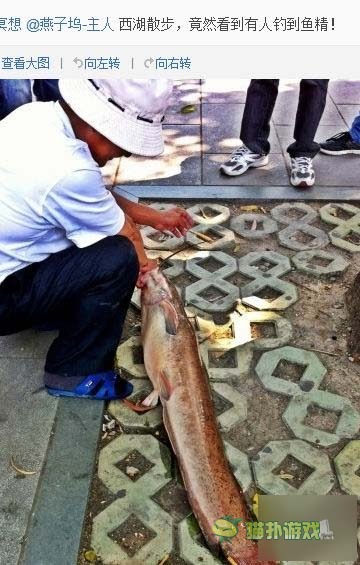 一看嚇一跳 雷死人不償命的囧圖