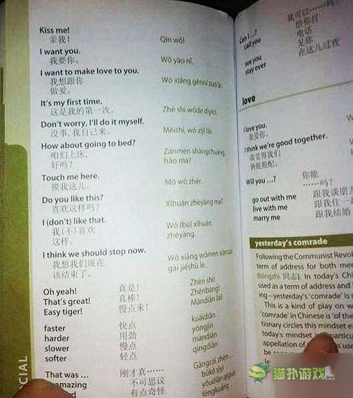 一看嚇一跳 雷死人不償命的囧圖