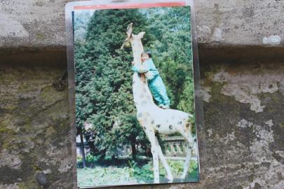 龍龍站在翠屏公園長頸鹿上的照片。圖由受訪者提供