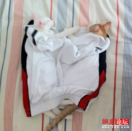 工作閑暇看內(nèi)涵圖 讓你精神百倍