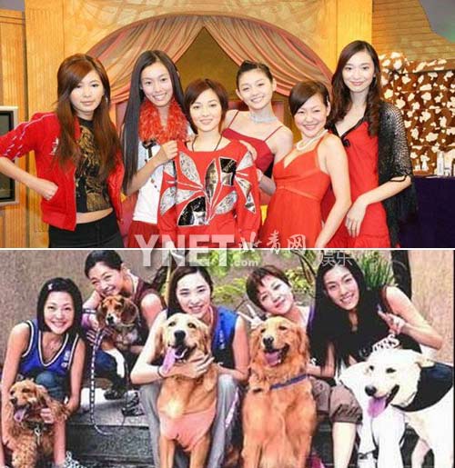 大S安以軒搶男友不顧姐妹情 娛樂圈閨蜜關(guān)系大起底