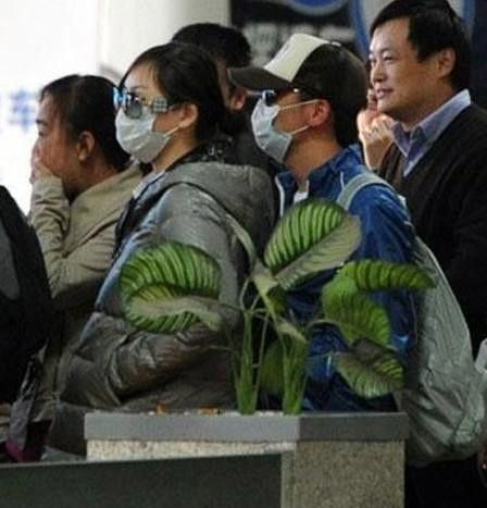 男星?；ɡ掀糯驪K 
