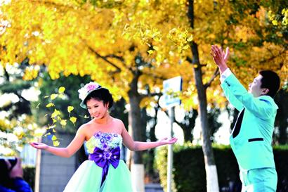 秋醉青島片片秋葉紅猶如畫(huà)中行 11月均可賞秋 秋醉青島片片秋葉紅猶如畫(huà)中行 11月均可賞秋