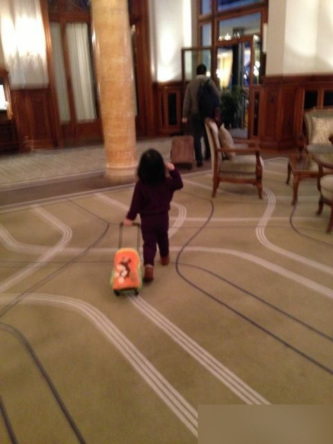 趙薇愛(ài)女小四月拖行李似小大人 走路有派頭背影很銷魂