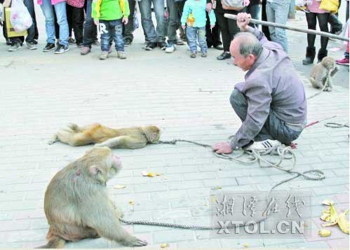 　　耍猴人當街暴打猴子，引起圍觀市民的反感。(豎戈攝)
