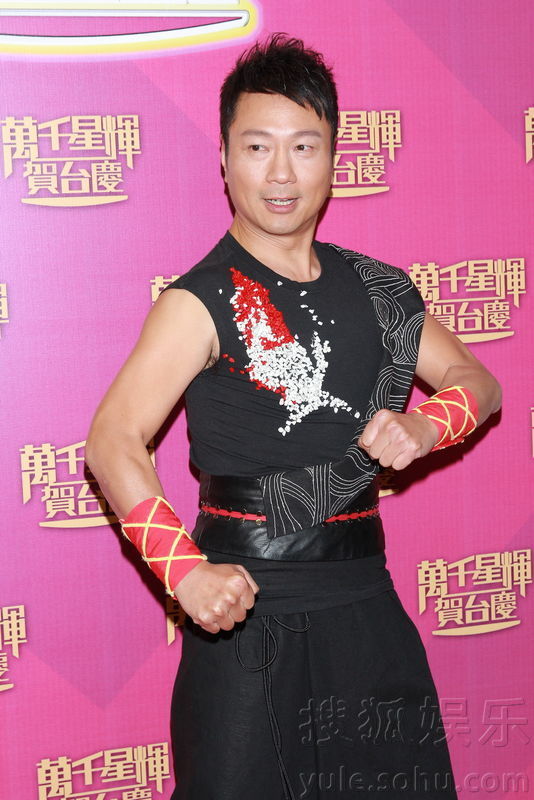 TVB臺慶紅毯
