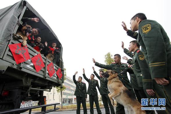 #（社會(huì)）（4）“無(wú)言戰(zhàn)友”別軍營(yíng)