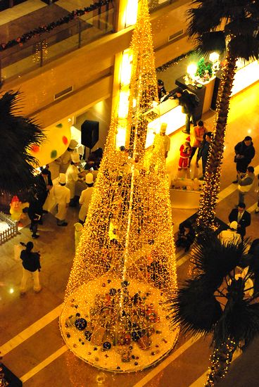巨型樹根蛋糕亮相城陽(yáng) 可供100人食用
