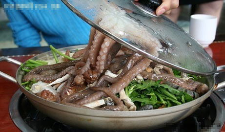 2，活章魚；韓國