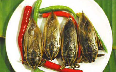 3，蚱蜢；烏干達