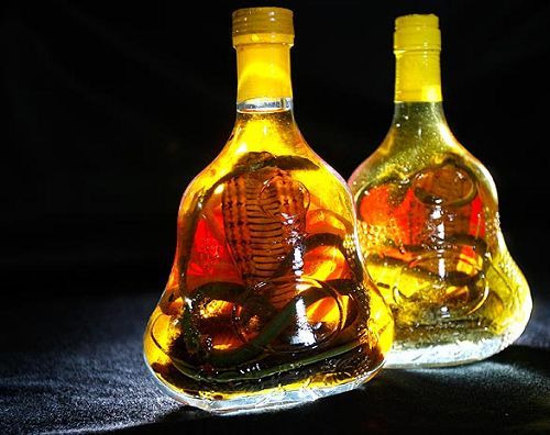 8，蛇酒；越南